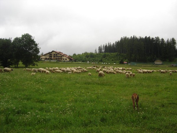 Foto zo života obce