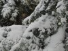 snehova-kalamita-15.3.2013-006